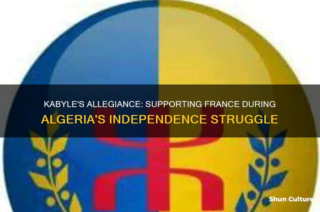 did kabyle support france against algeria