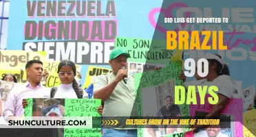Luis' Deportation to Brazil: Unraveling the 90-Day Timeline