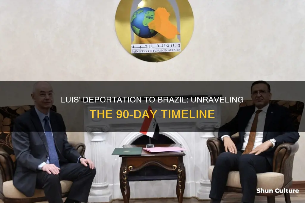 did luis get deported to brazil 90 days