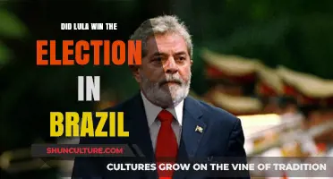 Lula's Victory: Brazil's Election Results and Political Comeback
