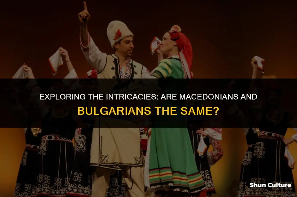 did macedonian are.same with bulgarian
