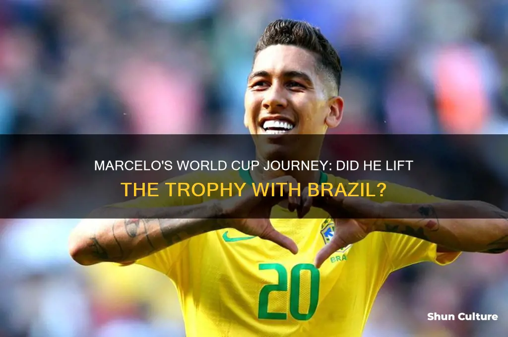 did marcelo win world cup with brazil