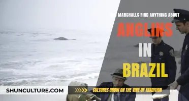 Did Marshalls Uncover Anglin Brothers' Brazilian Hideout Mystery?
