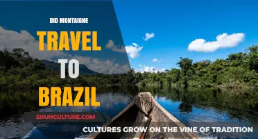 Did Montaigne Travel to Brazil? Unraveling the Explorer's Journey