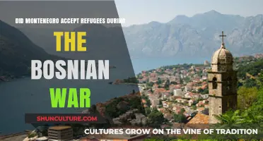 Montenegro's Role in Sheltering Bosnian War Refugees: A Historical Overview