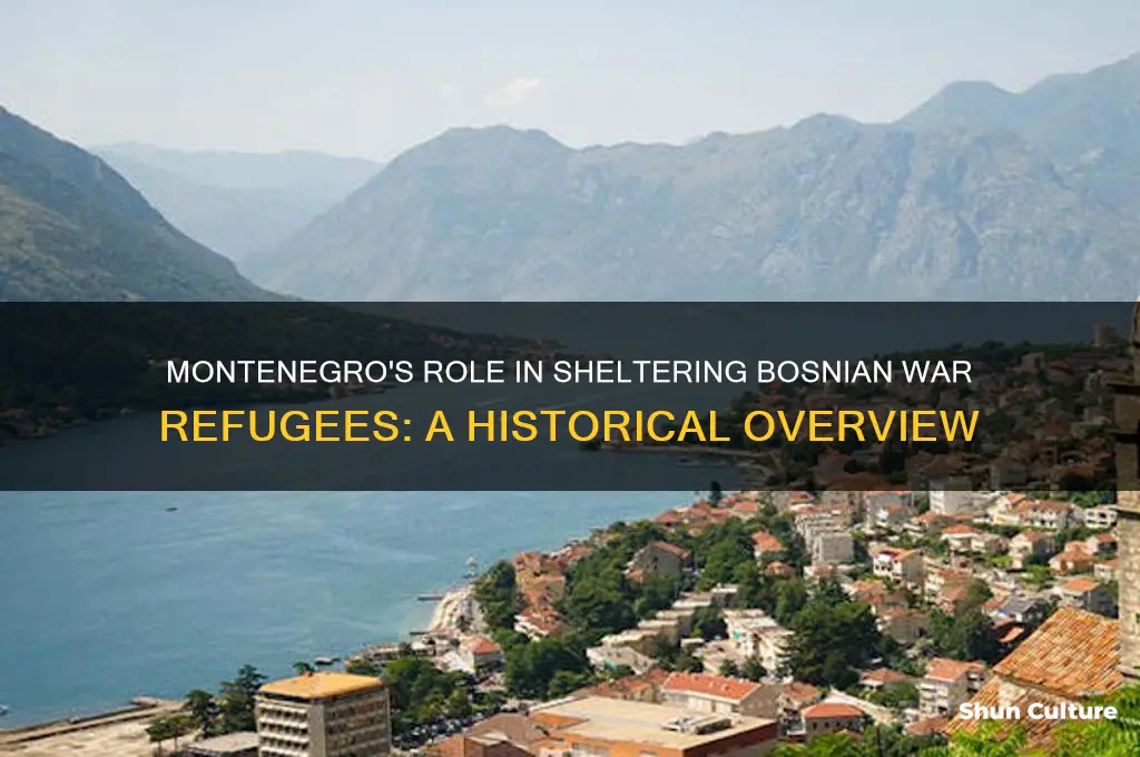 did montenegro accept refugees during the bosnian war