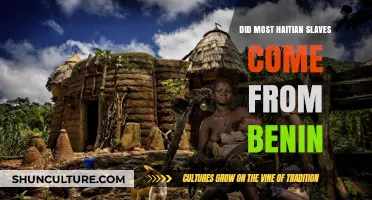 Tracing Ancestry: The Historical Link Between Haiti and Benin