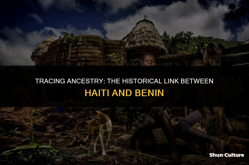 did most haitian slaves come from benin