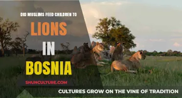 Bosnia's Dark History: Separating Fact from Fiction in Lion Feeding Myths