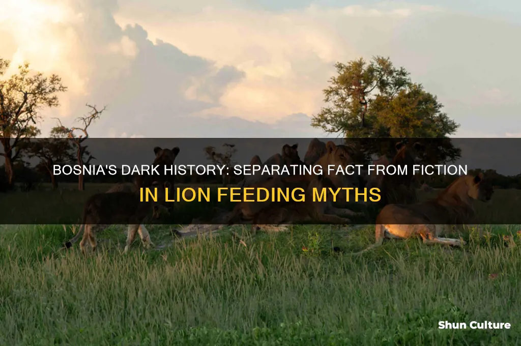 did muslims feed children to lions in bosnia