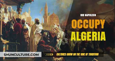 Napoleon's Ambitions: Did He Ever Occupy Algeria?