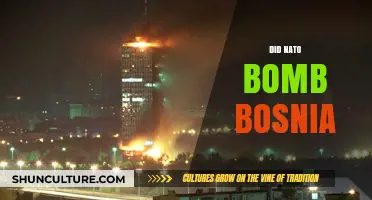 NATO's Bosnia Bombing Campaign: A Historical Analysis and Impact