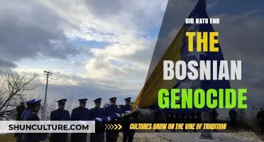NATO's Role in Ending the Bosnian Genocide: A Critical Analysis