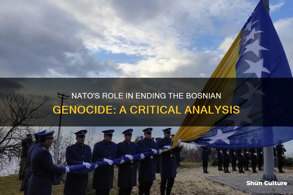 did nato end the bosnian genocide