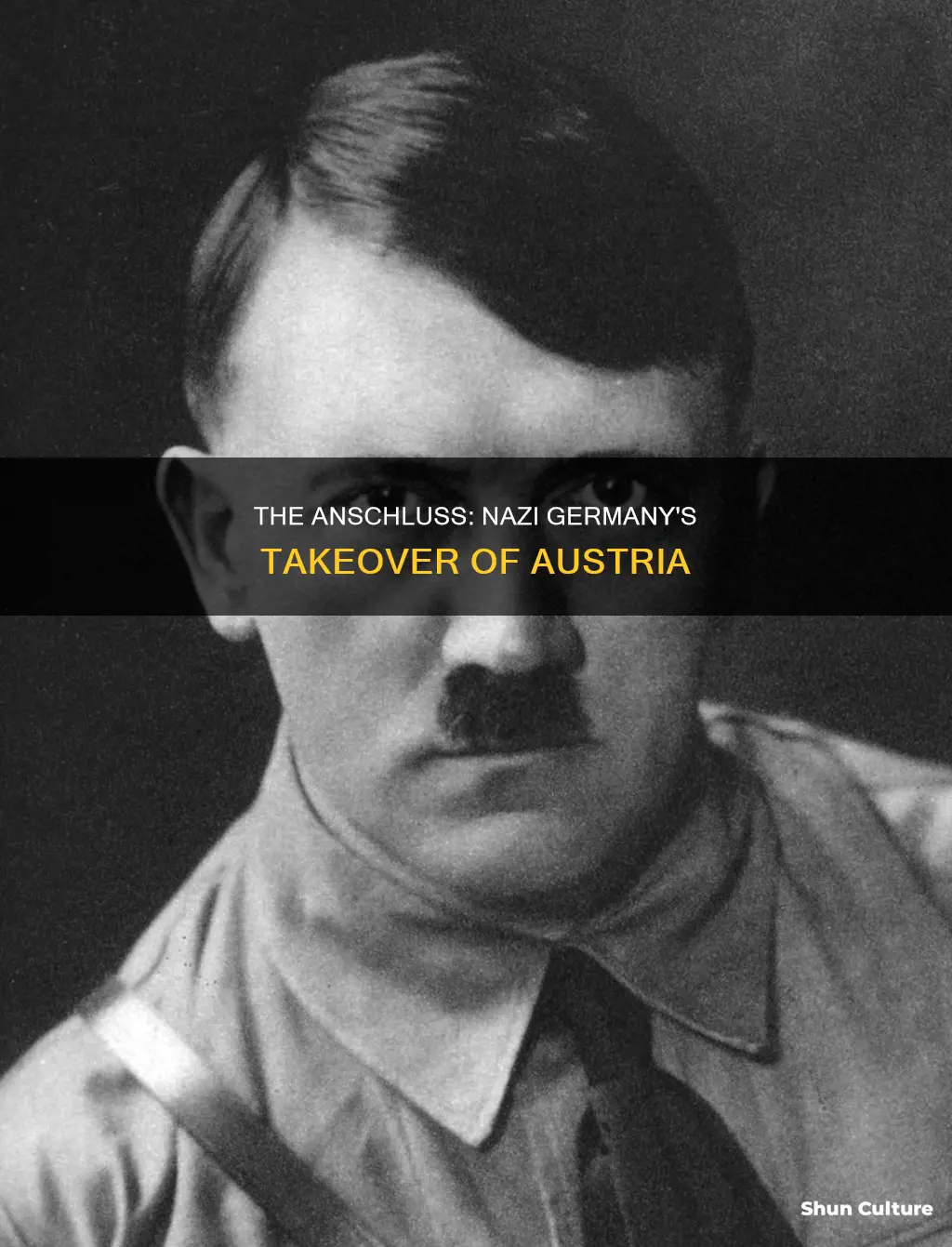 did nazi germany take over parts of austria