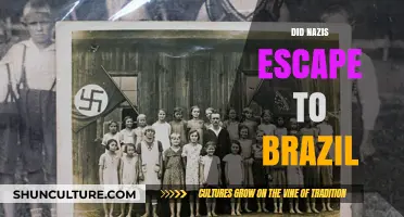 Nazis in Brazil: Uncovering the Truth About Their Escape