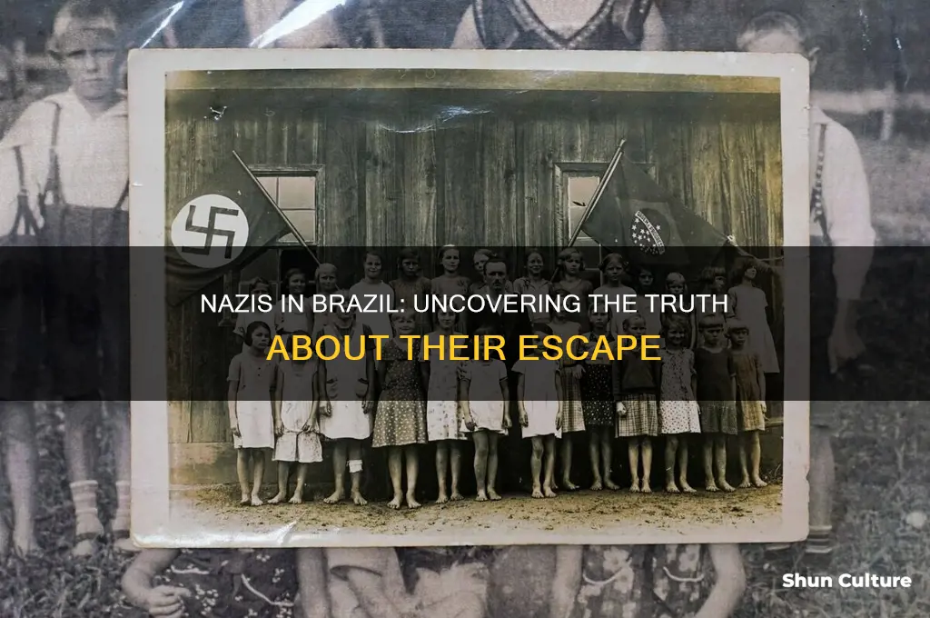 did nazis escape to brazil