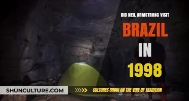 Neil Armstrong's 1998 Brazil Visit: Fact or Fiction?