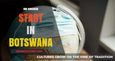 Omicron's Origins: Did Botswana Spark the Global COVID-19 Variant?