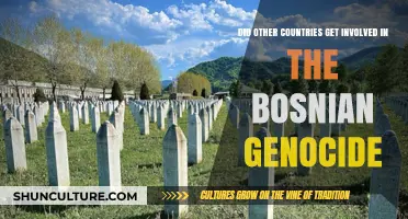 International Involvement in the Bosnian Genocide: A Comprehensive Analysis