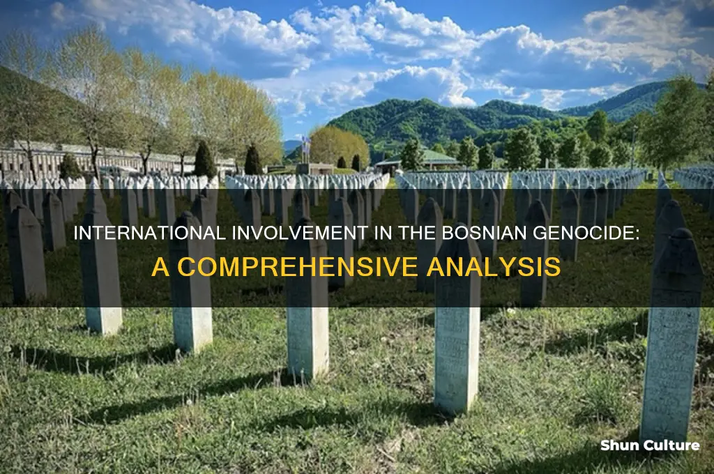 did other countries get involved in the bosnian genocide