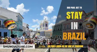 Paul's Fate in Brazil: Did He Secure His Stay?