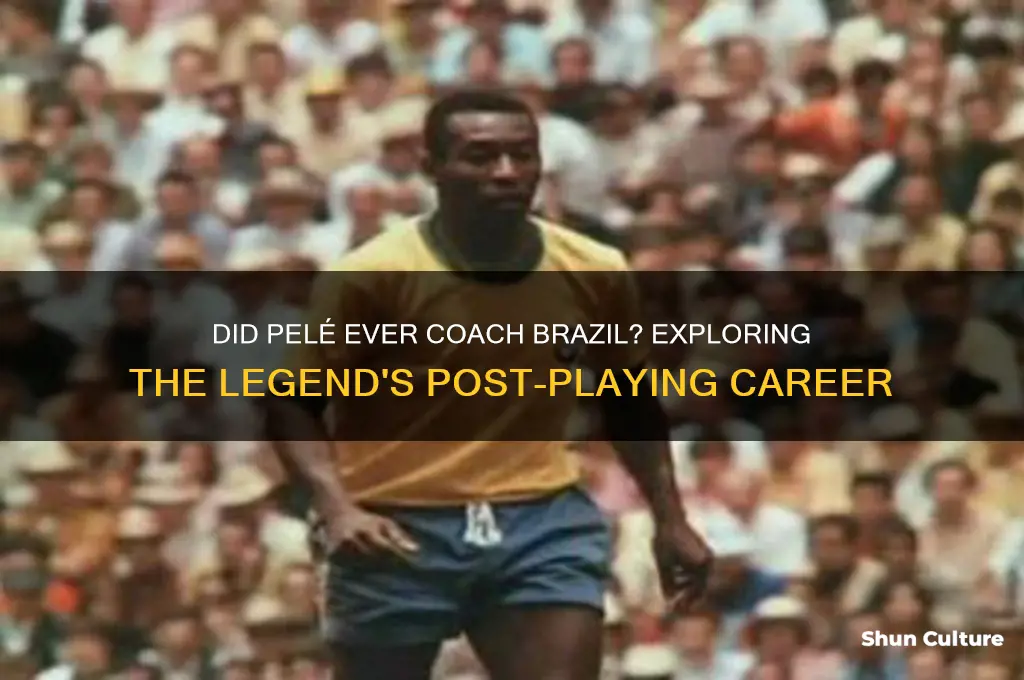 did pele ever coach brazil