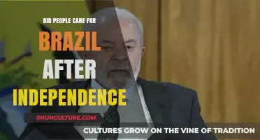 Brazil's Post-Independence Struggles: Did the World Truly Care?