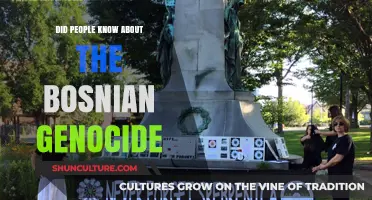 Unveiling the Bosnian Genocide: Public Awareness and Historical Oversight