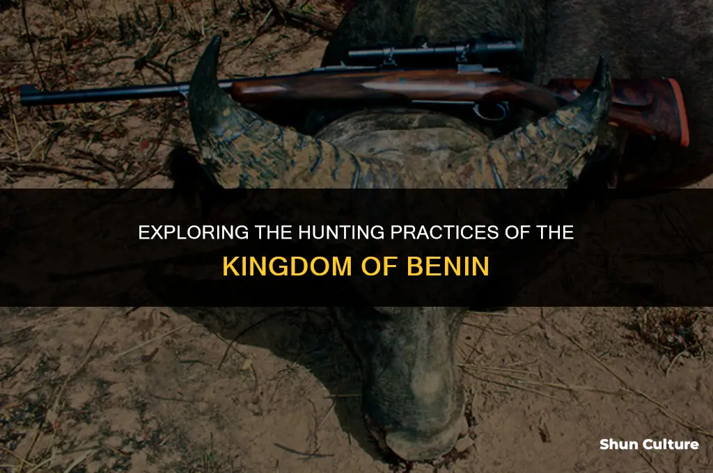 did people of the kingdom of benin hunt