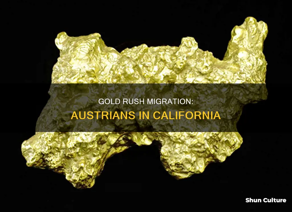 did people travel from austria for california gold rush