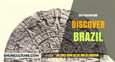 Phoenician Explorers: Did They Reach Brazil Before Columbus?
