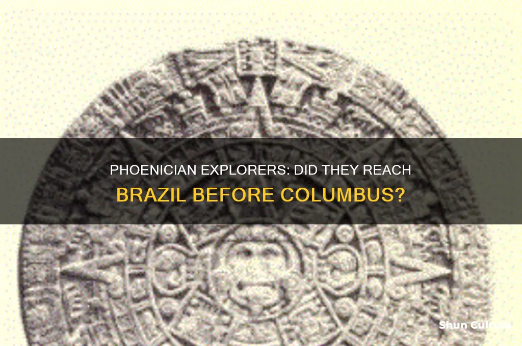 did phoenicians discover brazil