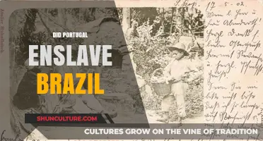 Portugal's Role in Brazil's Enslavement: Uncovering Historical Truths