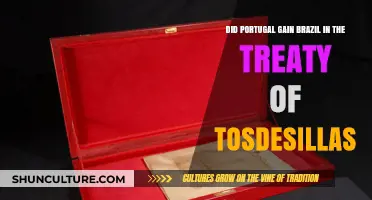 Portugal's Acquisition of Brazil: The Treaty of Tordesillas Explained