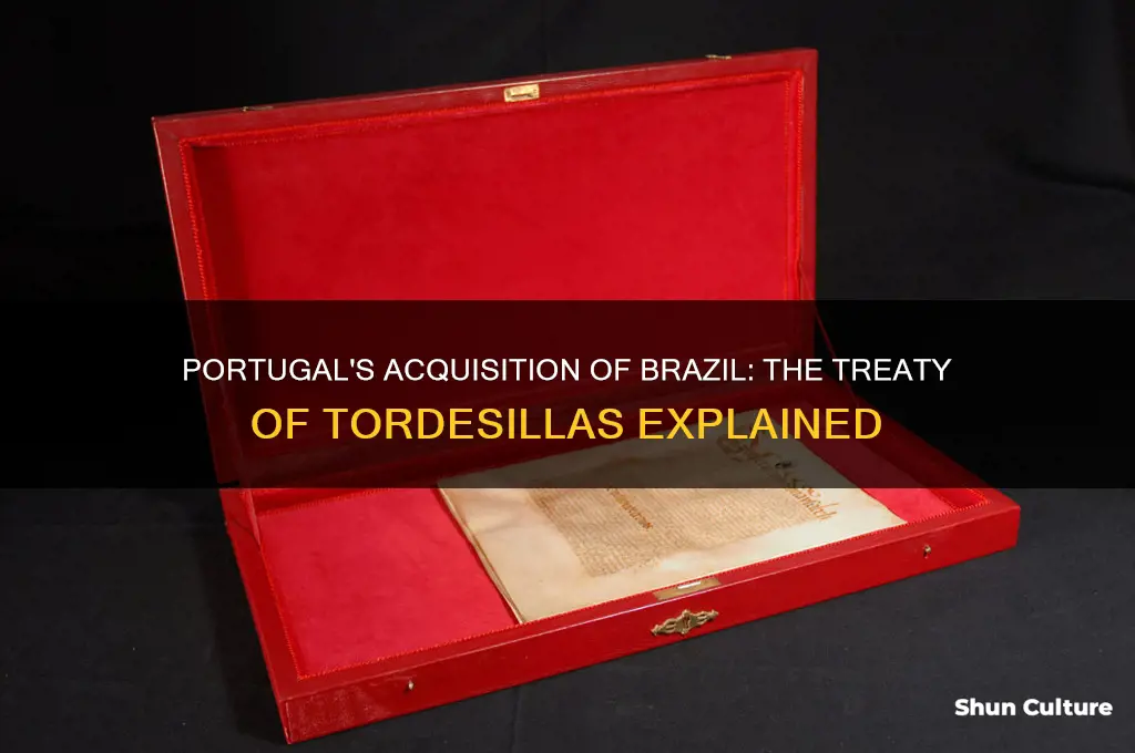 did portugal gain brazil in the treaty of tosdesillas