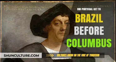 Did Portugal Reach Brazil Before Columbus? Unraveling the Historical Mystery