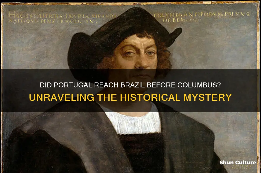 did portugal get to brazil before columbus