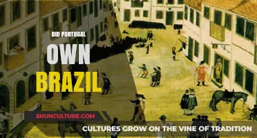 Was Brazil a Portuguese Colony? Unraveling the Historical Connection