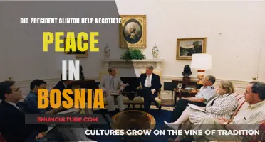 Clinton's Role in Negotiating Bosnia Peace: A Historical Analysis