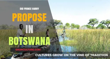 Did Prince Harry Propose in Botswana? Unraveling the Royal Romance Mystery