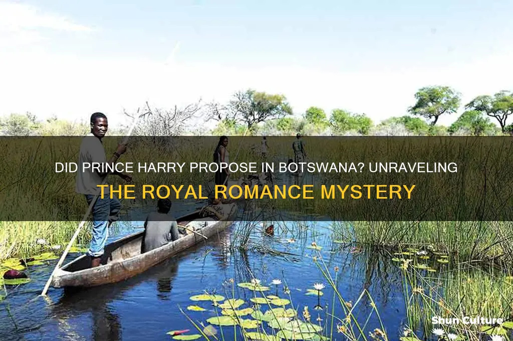 did prince harry propose in botswana
