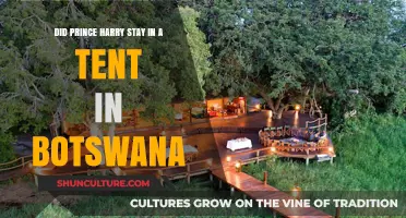 Prince Harry's Botswana Adventure: Tent Life and Royal Retreat