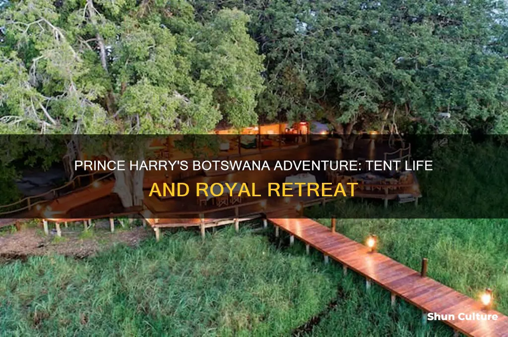 did prince harry stay in a tent in botswana