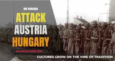 Romania's Attack on Austria-Hungary: Why and When?