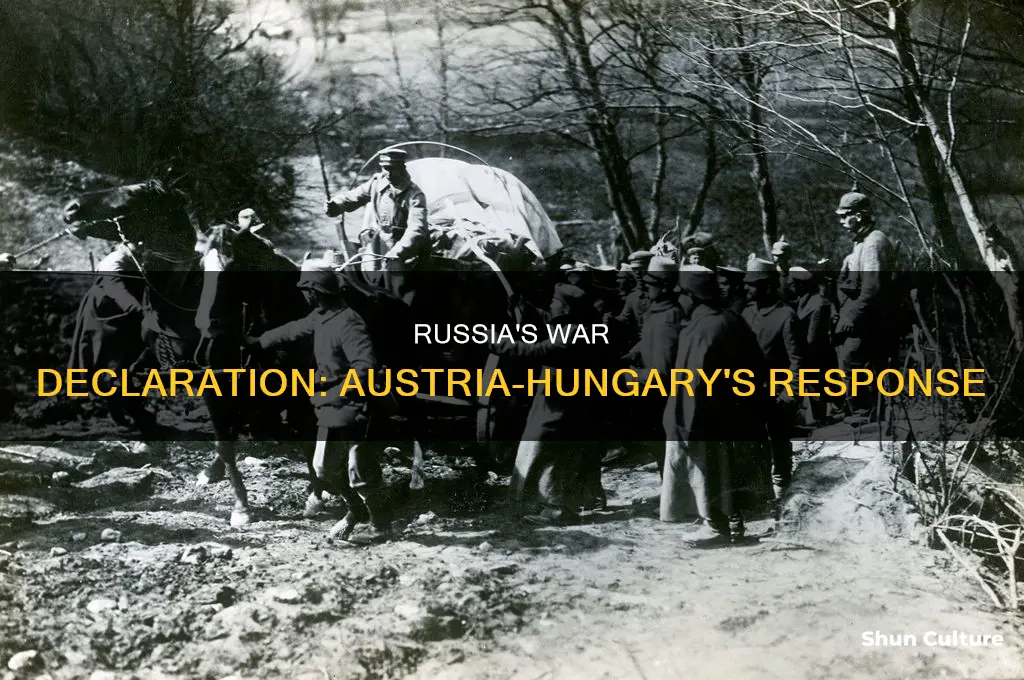 did russia declare war on austria hungary