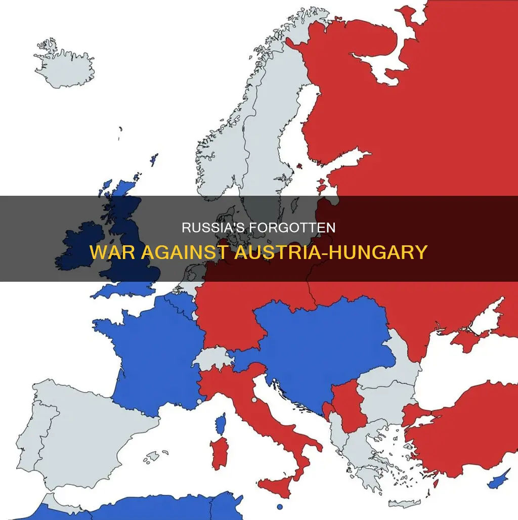 did russia fight against austria-hungary