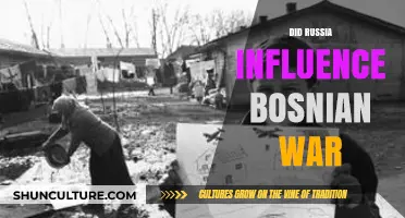 Russia's Role in the Bosnian War: Influence and Impact