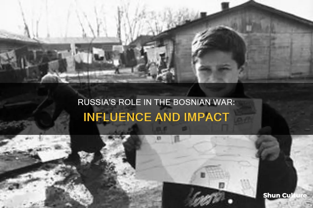 did russia influence bosnian war