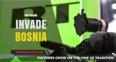 Russia's Role in Bosnia: Invasion or Political Influence?